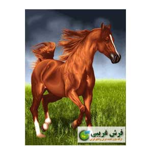 اسب قهوه ای